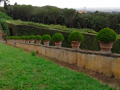 Vue des jardins de la Villa Aldobrandini à Frascati.